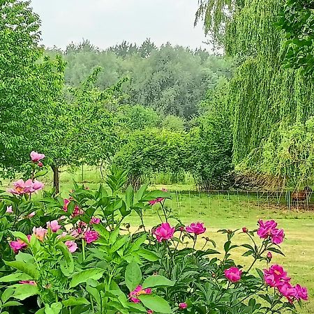 Les Chambres Du Vert Galant Rez De Jardin Verlinghem 外观 照片