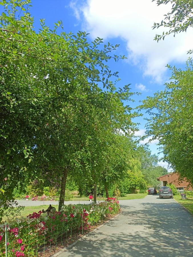 Les Chambres Du Vert Galant Rez De Jardin Verlinghem 外观 照片