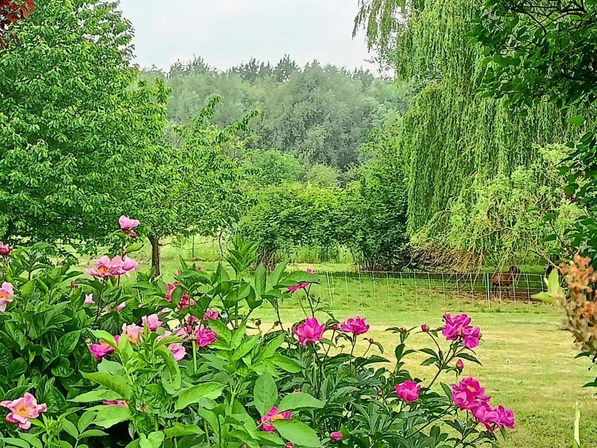 Les Chambres Du Vert Galant Rez De Jardin Verlinghem 外观 照片